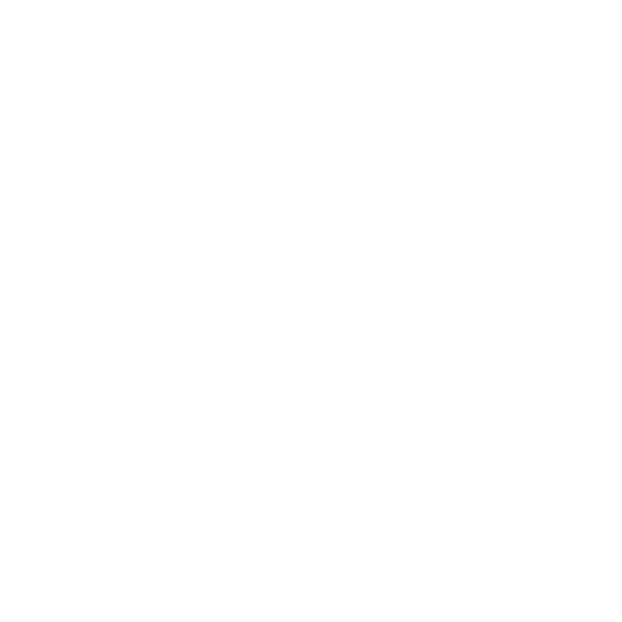 Plugovoy History